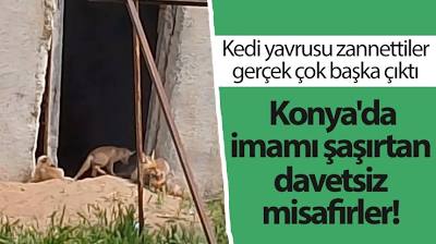 Konya'da konut satışları düştü! Nisan ayında 2 bin 36 konut satıldı