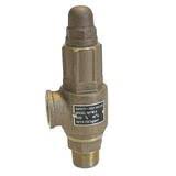 Pressure Relief Valve 40mm (1.5") Bare