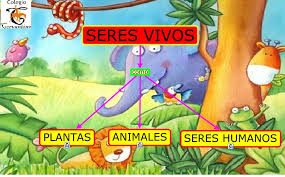Resultado de imagen para los seres vivos en animado