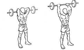 Image result for Barbell back of the head