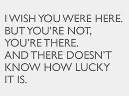 There doesn&#39;t know how lucky it is... I&#39;d show there just how ... via Relatably.com