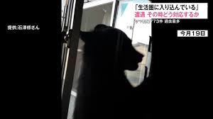 Yahoo!ニュース - News update