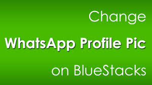 Image result for whatsapp profile photos