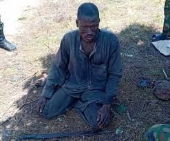 Kwara em Alerta! Senado Cobra Ações Urgentes Contra a Insegurança!