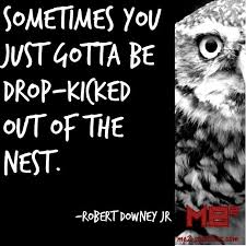 Sometimes you just gotta be drop-kicked out of the nest. -Robert ... via Relatably.com