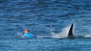 Resultado de imagem para surf africa do sul imagens