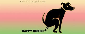 Image result for funny birthday