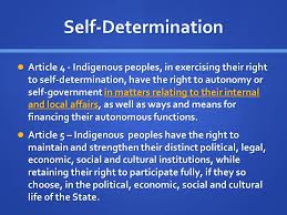 Hasil carian imej untuk Self Determination Right