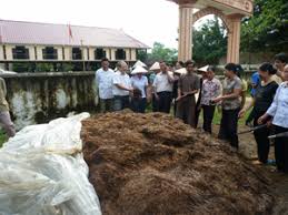 Image result for phương pháp ủ phân hữu cơ vi sinh