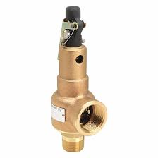 KUNKLE VALVE, MNPT x FNPT, 1 in x 1 1/4 in, Safety Relief ...