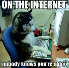 Image result for dogs, huskys, dicks cartoons