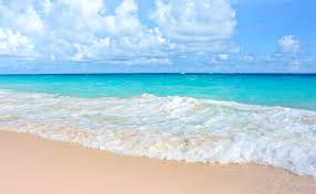 Image result for bermuda