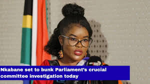 Democratic Alliance - News update