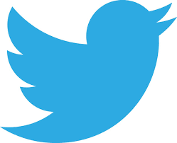 Image result for gambar twitter