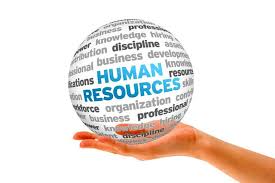 Image result for HR services