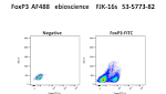 Anti-FoxPantibodies, human and mouse - Miltenyi Biotec