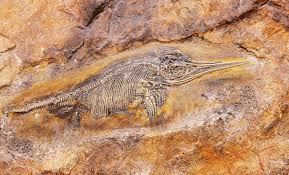 Ichthyotitan Severnensis: The Record-Breaking Marine Reptile Discovery