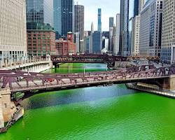 Image of Chicago River dyed green