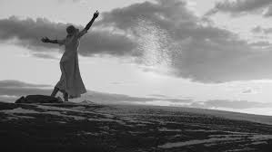 Trillion: Joaquin Phoenix-Backed Film Premieres at IDFA