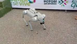 Fenapo 2026