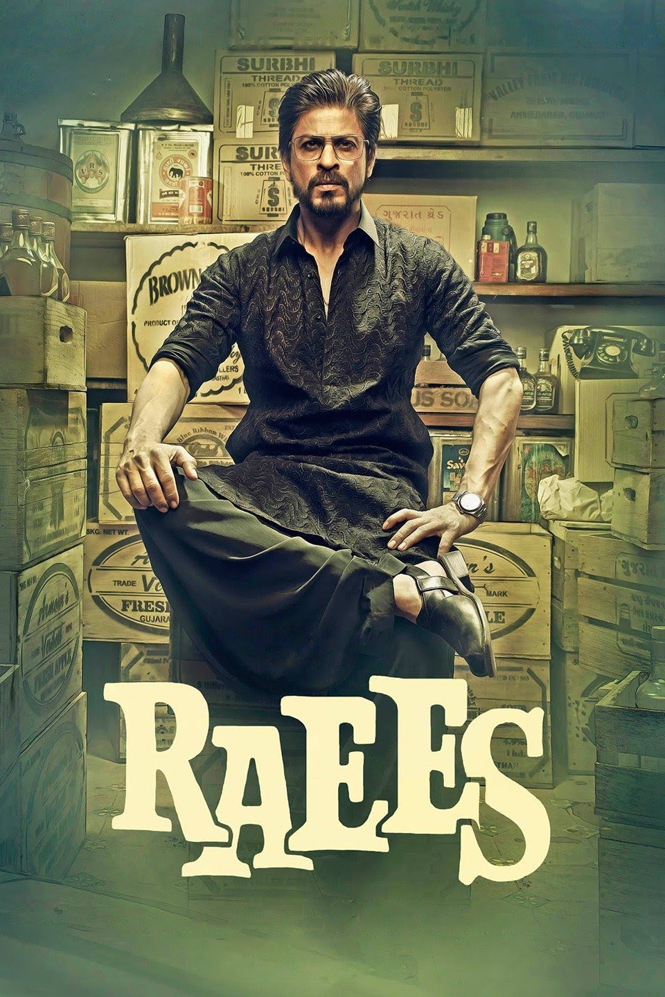 Download Raees (2017) Hindi Full Movie BluRay 480p | 720p