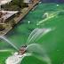 Go green: A five senses guide to Tampa Bay St. Patrick's Day parties