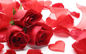 Image result for valentines day