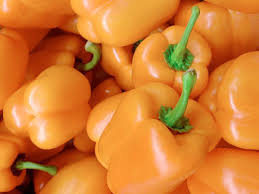 Image result for orange pepper