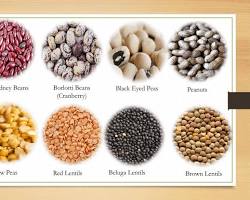 Image of Legumes