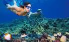 Top Snorkeling Spots in Maui Best Snorkeling on Maui