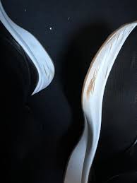 Giani Bernini Flora sneaker Women's Floraa Memory Foam Sporty Lace Up Sneakers, Created for Macy's - Macy's - Product from Macy's