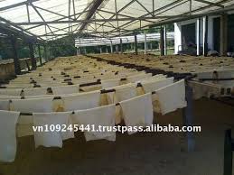 Image result for rubber sheet wallpaper