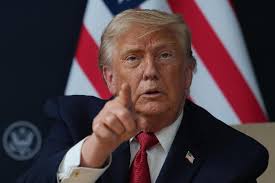Democrat makes fresh bid for green card bill, calls it a ‘commonsense fix’ to Trump's ‘systemic attacks’