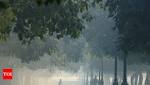 Delhi's quality slides towards 'severe',