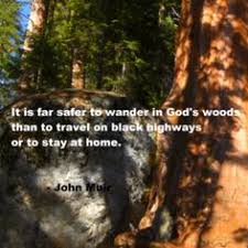 John Muir Quotes on Pinterest via Relatably.com