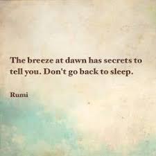 Rumi on Pinterest | Rumi Quotes, Universe and Meditation via Relatably.com