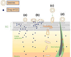nanovesicles skin delivery system biomimetic, generada por IA
