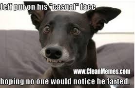 Image result for Animal Meme