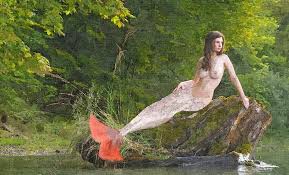 Znalezione obrazy dla zapytania fantasy