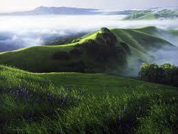 Картинки по запросу НАЕДИНЕ С ПРИРОДОЙ