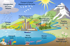 Image result for climate photos