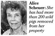 Her next-door neighbor, Alice Scheuer, was not surprised by the discovery ... - artpigs