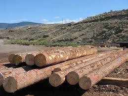 Znalezione obrazy dla zapytania log