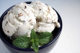 Image result for mint chocolate chip ice cream