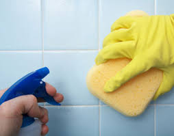 tile and tub cleaner spray ile ilgili görsel sonucu
