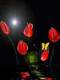 Image result for animated butterflies wallpaper