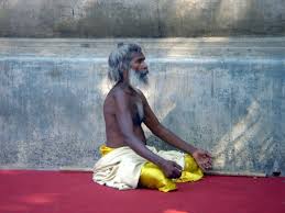 Image result for austere yogi