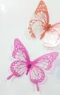 Butterfly wall decals Abu Dhabi