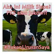 Hasil gambar untuk meme jokowi