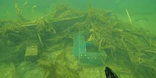 Ghost Gear Cleanup